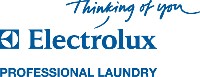 www.laundrysystems.electrolux.de